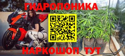 прущая мука Канаш