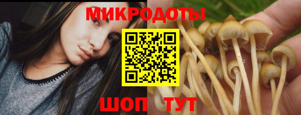 Краснокаменск  продажа наркотиков  Вход с VPN  Галлюциногенные грибы мицелий 